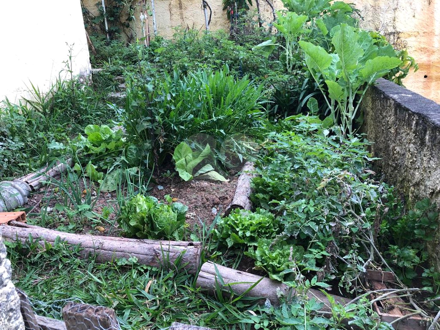 Casa Térrea à venda com 3 quartos, sendo 1 suíte,  em Olho D'água, Mairiporã, SP