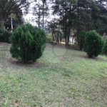 Chácara à venda com 4 quartos, sendo 1 suíte,  em Monterrey, Louveira, SP
