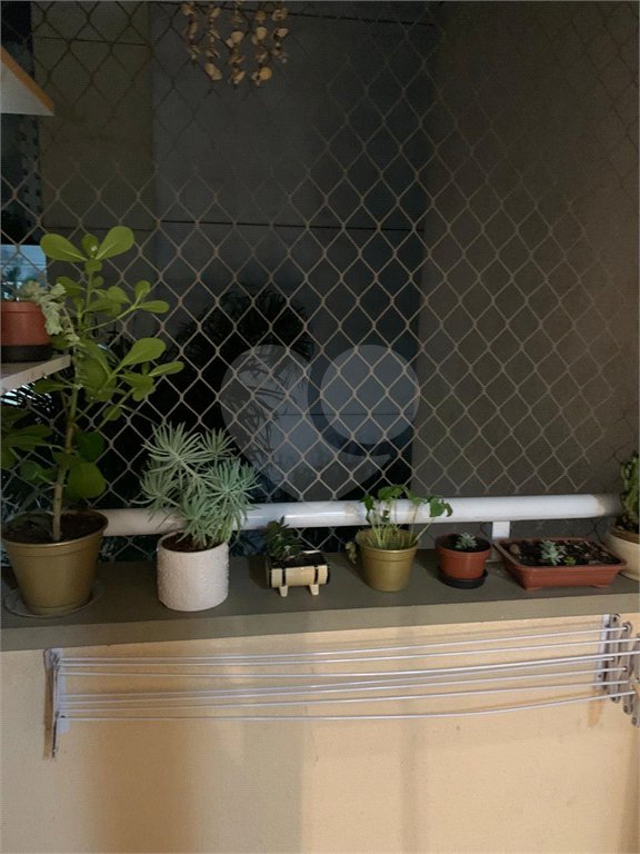 Apartamento à venda com 2 quartos em Paraisópolis, São Paulo, SP