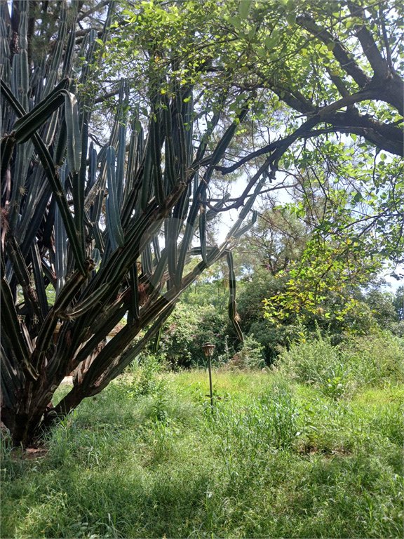 Terreno à venda em Jardim Patriarca, Ribeirão Preto, SP