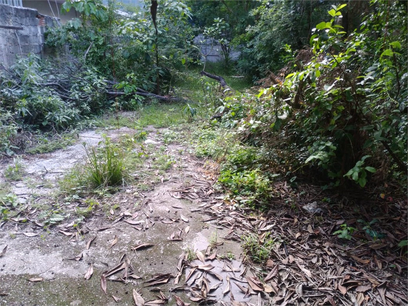 Terreno à venda em Jaçanã, São Paulo, SP