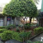 Apartamento à venda com 2 quartos em Vila Nova Cachoeirinha, São Paulo, SP