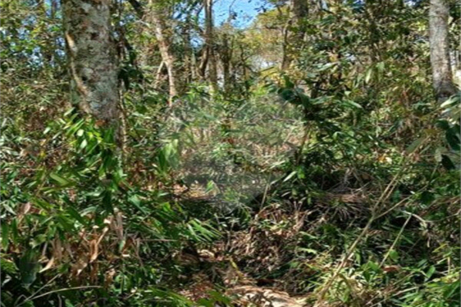 Terreno à venda em Remédios, Mairiporã, SP