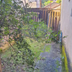 Terreno à venda em Horto Florestal, São Paulo, SP