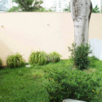 Casa Térrea à venda ou para alugar com 3 suítes em Brooklin Velho, São Paulo, SP