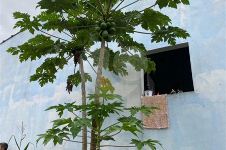 Casa à venda com 2 quartos, sendo 1 suíte,  em Vila Nova Bonsucesso, Guarulhos, SP