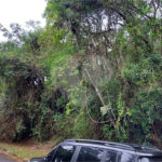 Terreno à venda no condomínio Alpes da Cantareira, Mairiporã - SP