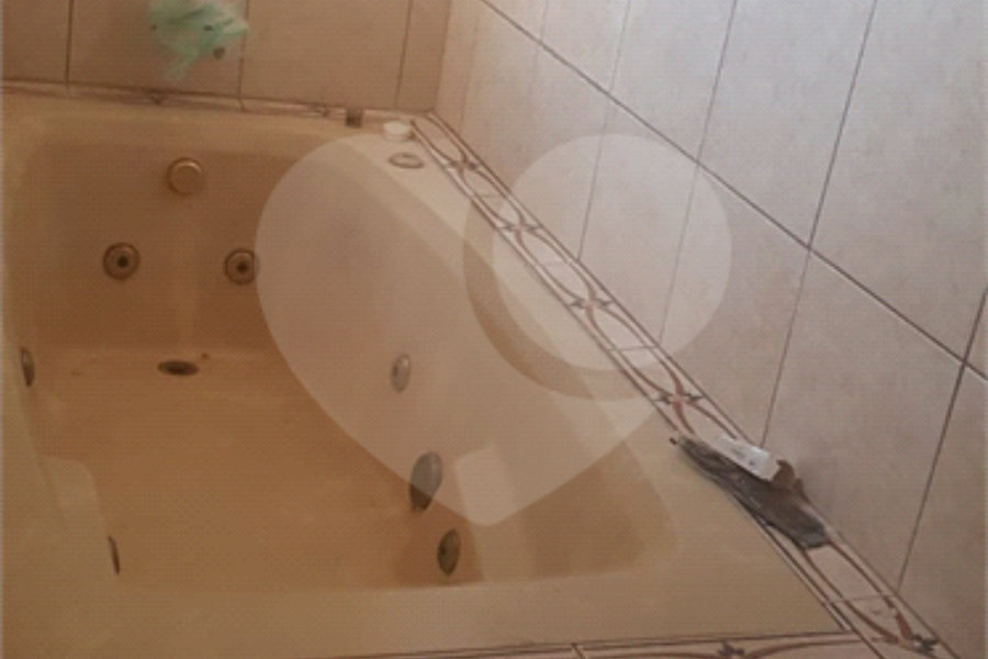 Sobrado à venda com 3 quartos, sendo 1 suíte, em Vila Nova Cachoeirinha, São Paulo, SP