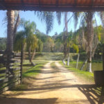 Sítio à venda com 4 quartos, sendo 1 suíte,  em Cruz das Almas, Biritiba-mirim, SP