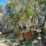 Terreno à venda em Jundiaizinho (terra Preta), Mairiporã, SP