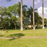 Chácara à venda com 8 quartos, sendo 5 suítes, em Chácara Belvedere, Indaiatuba, SP