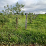 Terreno à venda em Área Rural de Guareí, Guareí, SP