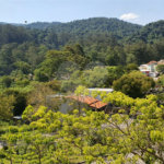Apartamento à venda com 3 quartos, sendo 1 suíte, em Jardim Peri, São Paulo, SP