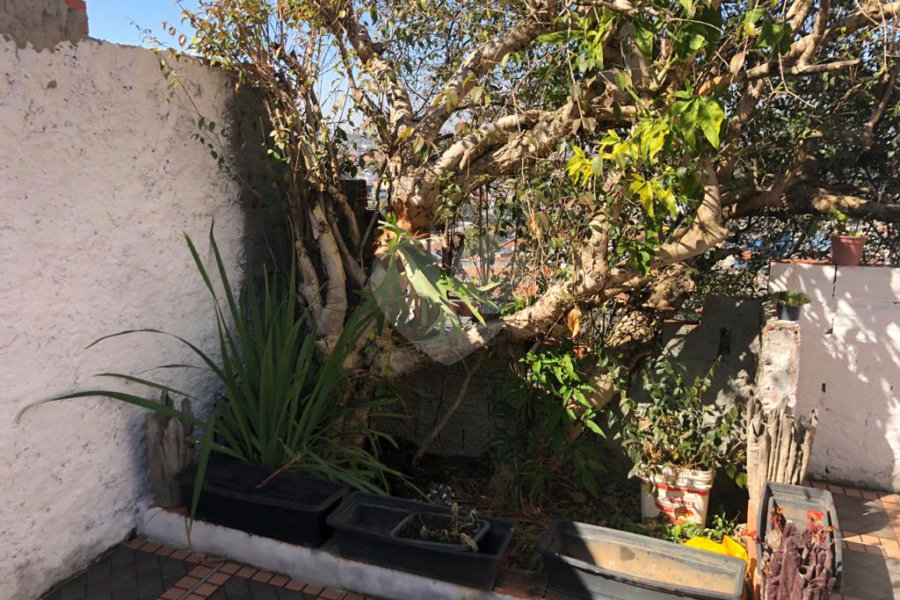 Casa Térrea à venda com 3 quartos em Tremembé, São Paulo, SP