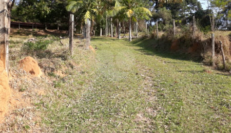 Sítio à venda com 3 quartos em Bairro do Cambará, São Roque, SP