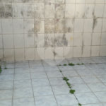 Sobrado à venda com 3 quartos em Tucuruvi, São Paulo, SP