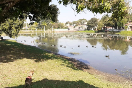 Terreno à venda no condomínio Terras de Santa Rosa II, Salto - SP
