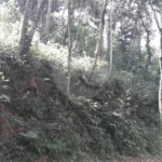 Terreno à venda no condomínio Alpes de Mairiporã, Mairiporã - SP