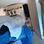 Casa Térrea à venda com 1 quarto em Vila Nova Cachoeirinha, São Paulo, SP