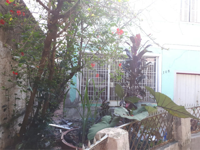 Terreno à venda em Vila Isolina Mazzei, São Paulo, SP