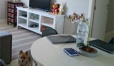 Apartamento à venda com 2 quartos, sendo 1 suíte,  em Santana, São Paulo, SP