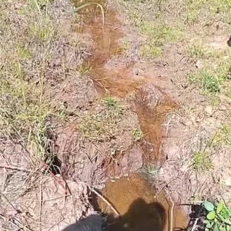 Fazenda à venda com 2 quartos no Centro, Estreito, MA