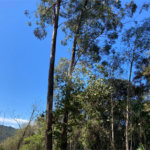 Terreno à venda no condomínio Suíça da Cantareira, Mairiporã - SP