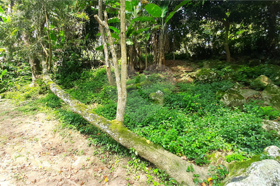 Chácara à venda com 10 quartos, sendo 20 suítes, em Serra da Cantareira, Mairiporã, SP