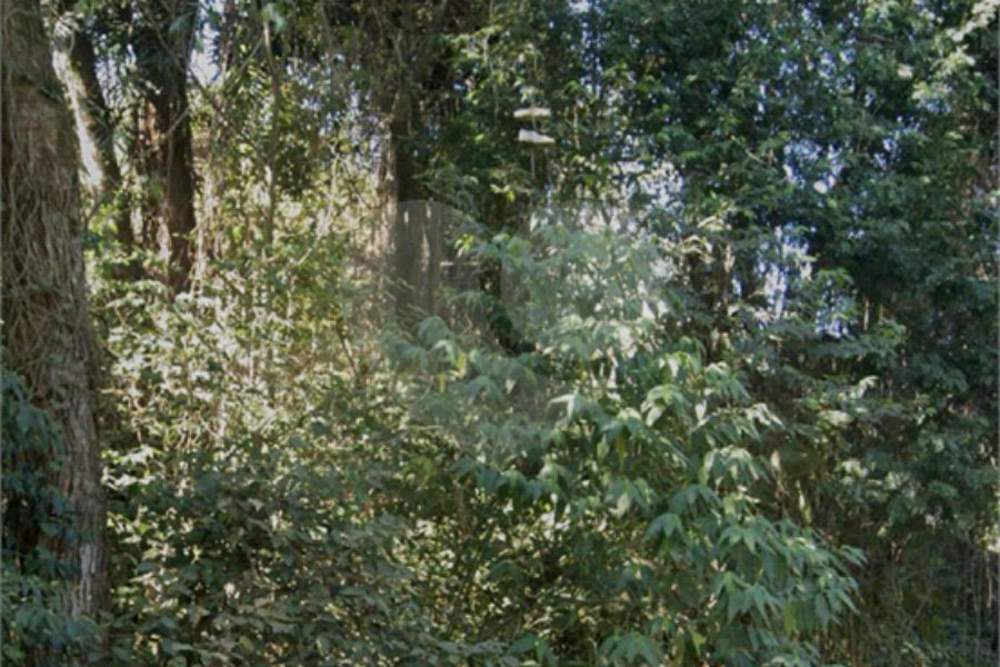 Terreno à venda em Tremembé, São Paulo, SP