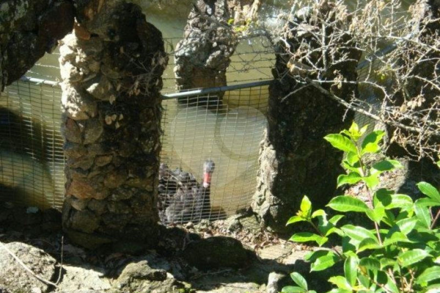 Sobrado à venda com 5 suítes em Juqueri Mirim, Mairiporã, SP