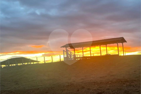 Fazenda à venda com 6 quartos, sendo 1 suíte,  no Centro, Capitão Enéas, MG
