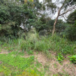 Terreno à venda em Caravelas, Armação dos Búzios, RJ