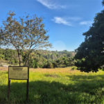 Terreno à venda em Chácaras São Bento, Valinhos, SP