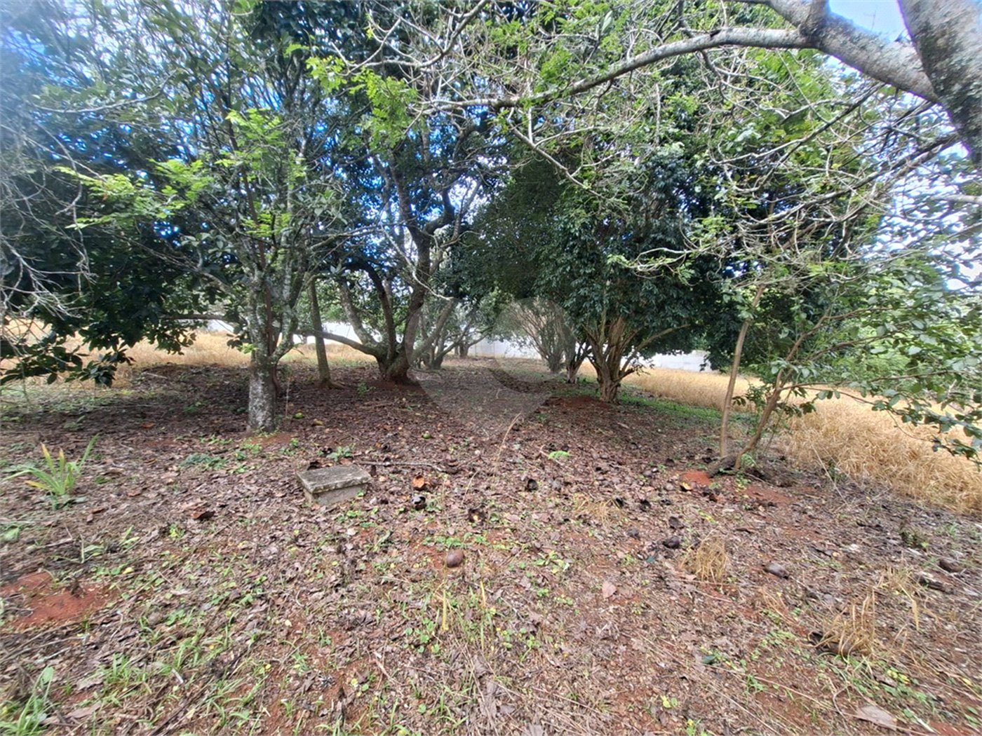Terreno à venda em Portal da Figueira, Itapetininga, SP