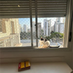 Apartamento à venda com 3 suítes em Indianópolis, São Paulo, SP