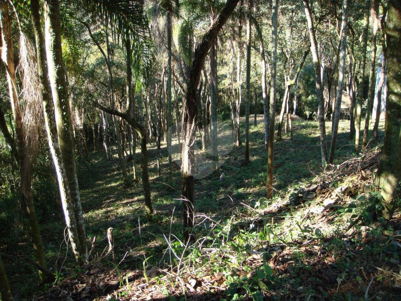Casa à venda com 4 suítes em Serra da Cantareira, Mairiporã, SP