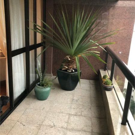 Apartamento à venda com 4 quartos, sendo 3 suítes, em Vila Suzana, São Paulo, SP