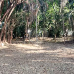 Terreno à venda em Alto da Boa Vista, São Paulo, SP