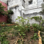 Sobrado à venda com 4 quartos, sendo 1 suíte, em Casa Verde, São Paulo, SP