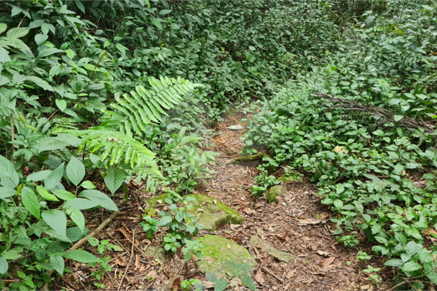 Terreno à venda em Caraguatá, Mairiporã, SP