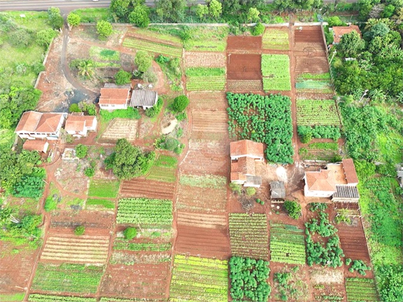 Terreno à venda em Jardim Itaú, Ribeirão Preto, SP
