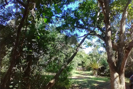 Casa à venda com 1 quarto em Vila Verde, Armação dos Búzios, RJ