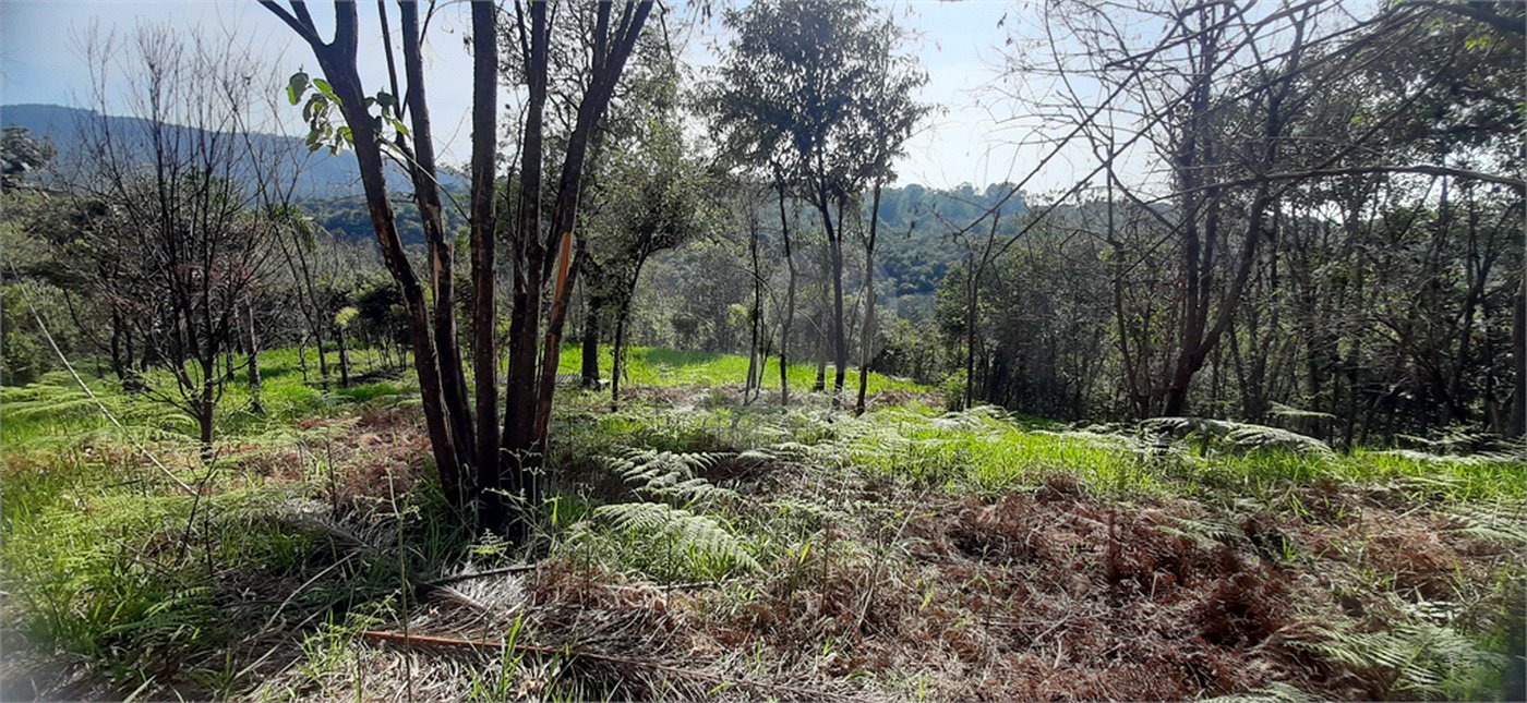 Terreno à venda em São Vicente, Mairiporã, SP