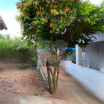 Casa à venda com 3 quartos em Vila Aquidabam, Ponta Porã, MS