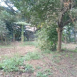 Terreno à venda ou para alugar no condomínio São Marcos, São Paulo - SP