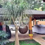 Casa à venda com 8 quartos, sendo 4 suítes, em Roseira, Mairiporã, SP