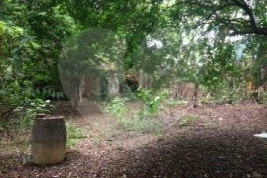 Terreno à venda em Casa Verde, São Paulo, SP
