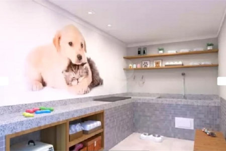 Apartamento à venda com 1 quarto em Cambuci, São Paulo, SP
