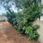 Chácara à venda com 2 suítes em Mato Seco, Itapetininga, SP