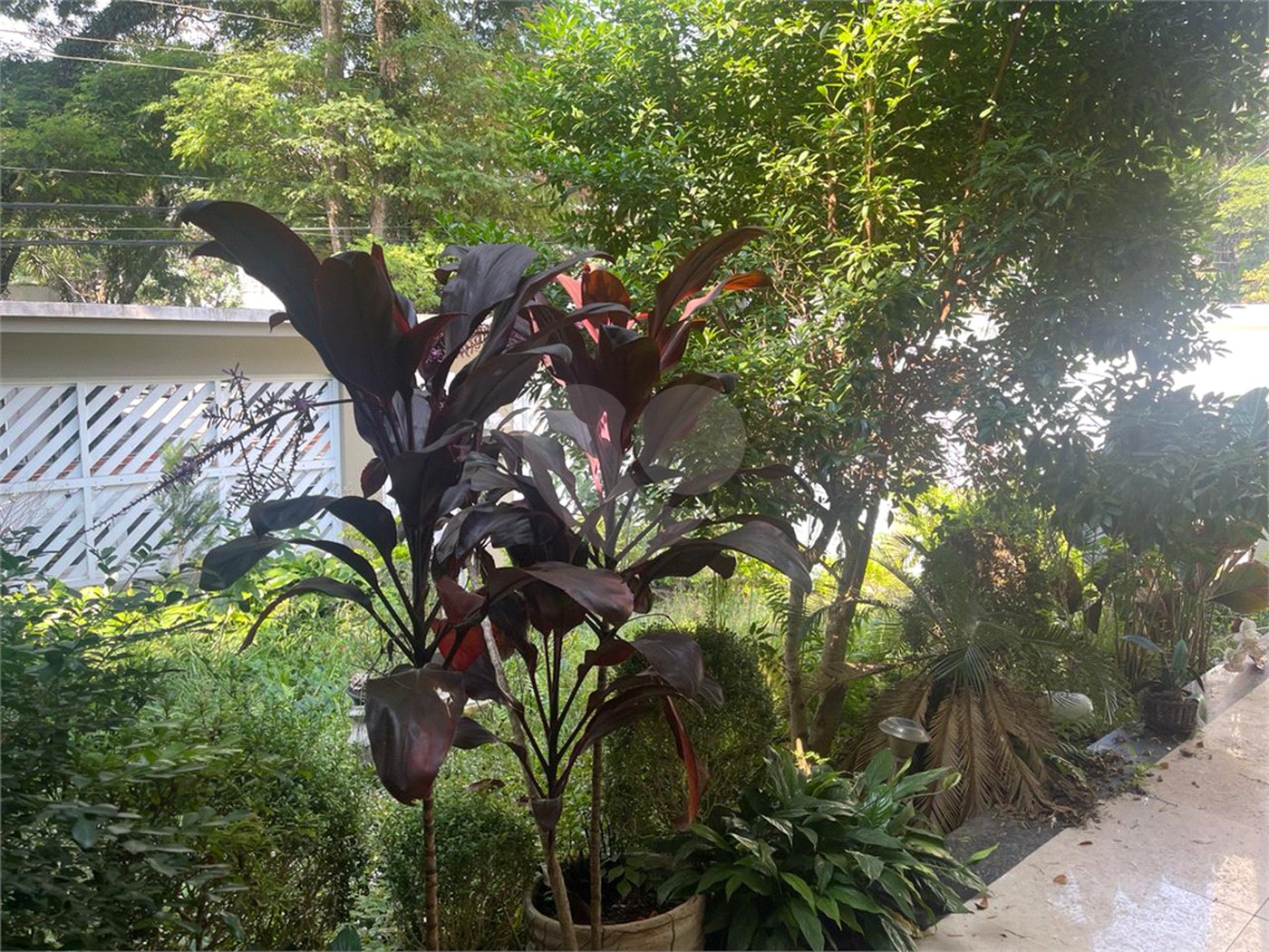 Casa de Vila à venda com 3 quartos, sendo 1 suíte, em Jardim Hípico, São Paulo, SP